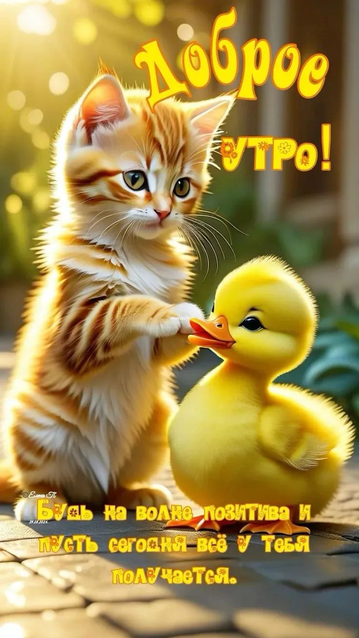 Доброе утро! Будь на волне позитива и пусть сегодня всё у тебя получается.