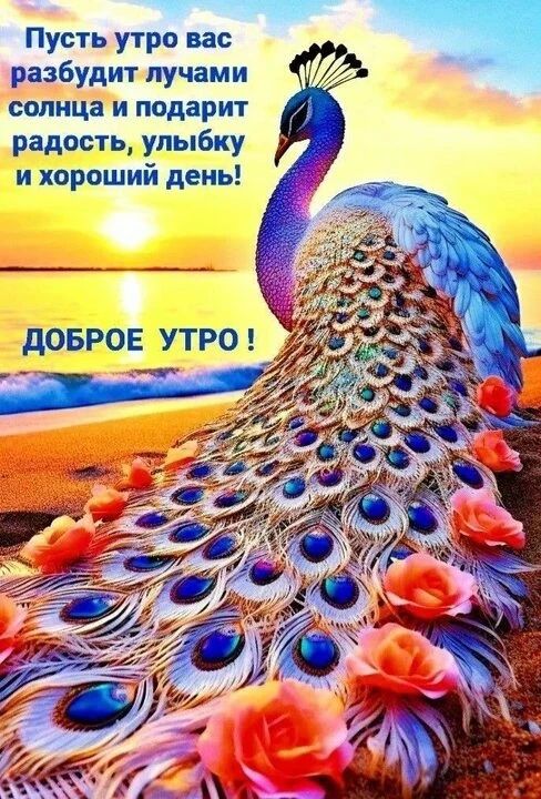 Пусть утро вас разбудит лучами солнца и подарит радость, улыбку и хороший день! ДОБРОЕ УТРО!