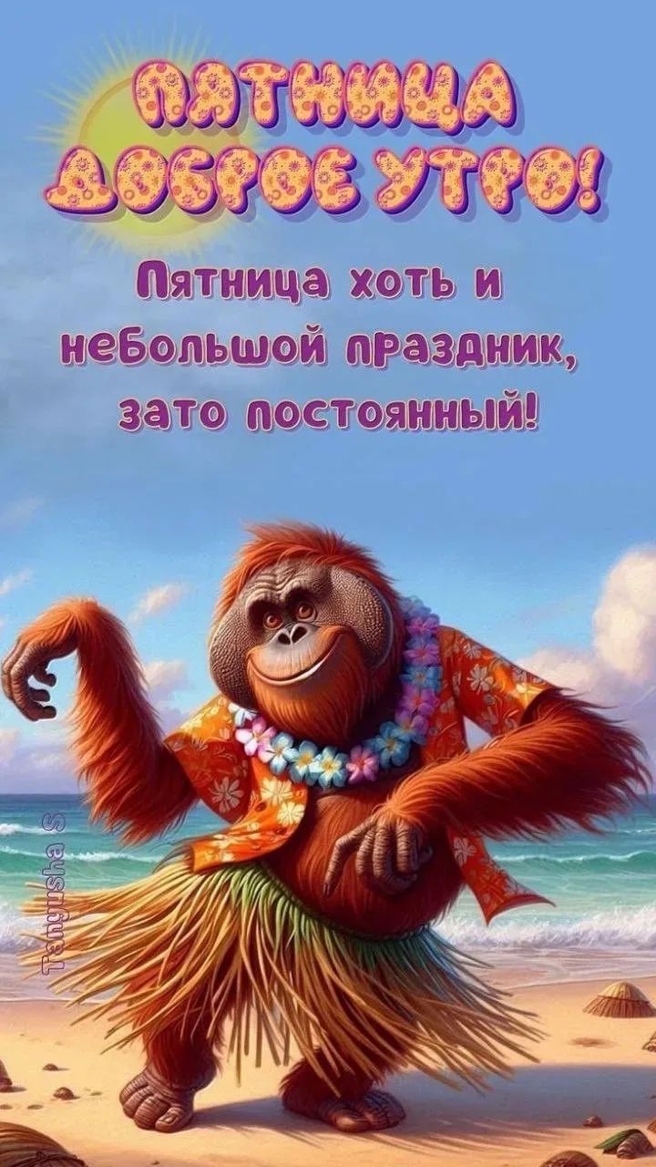 ПЯТНИЦА ДОБРОЕ УТРО! Пятница хоть и небольшой праздник, зато постоянный!