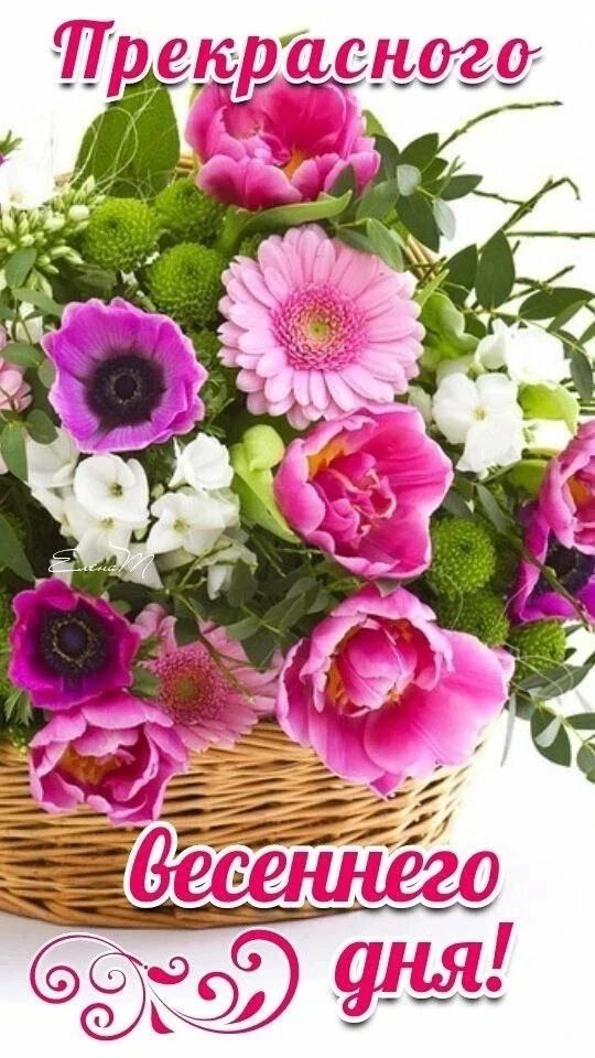 Прекрасного весеннего дня!