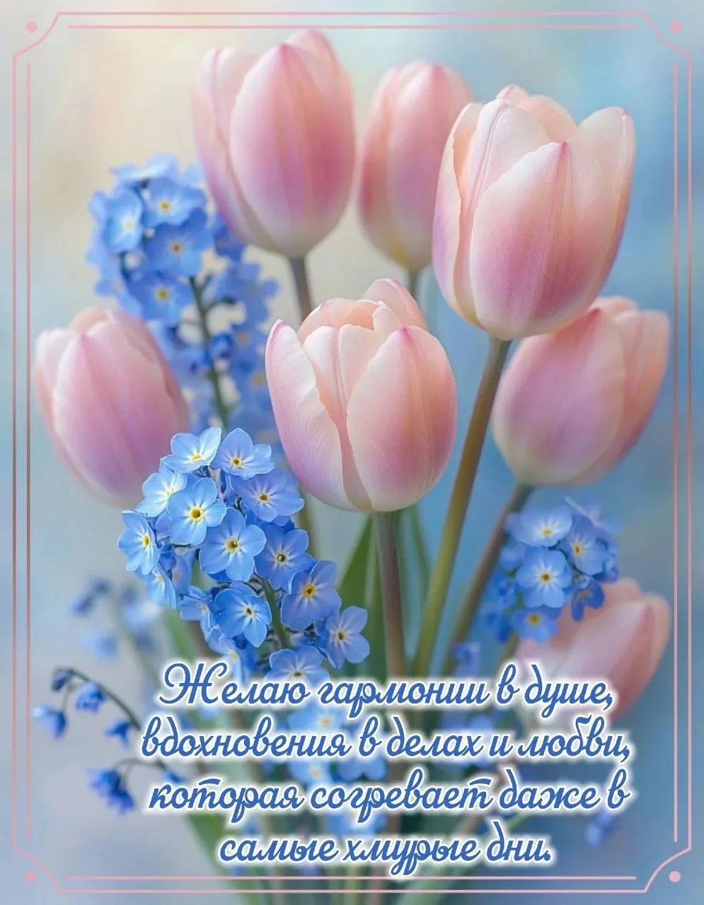 Желаю гармонии в душе, вдохновения в делах и любви, которая согревает даже в самые хмурые дни.