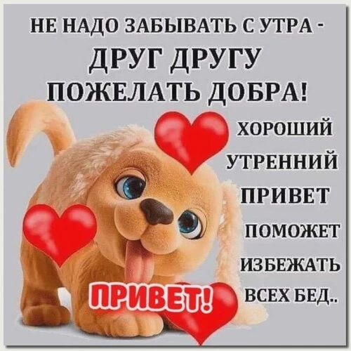 НЕ НАДО ЗАБЫВАТЬ С УТРА - ДРУГ ДРУГУ ПОЖЕЛАТЬ ДОБРА! ХОРОШИЙ УТРЕННИЙ ПРИВЕТ ПОМОЖЕТ ИЗБЕЖАТЬ ВСЕХ БЕД.. ПРИВЕТ!