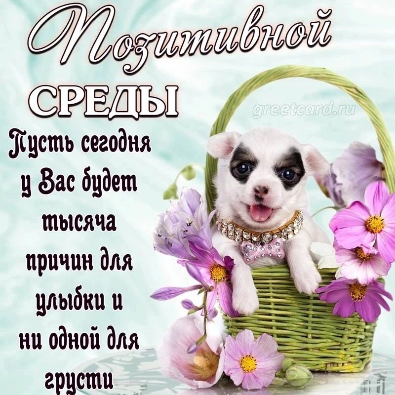 Позитивной СРЕДЫ Пусть сегодня у Вас будет тысяча причин для улыбки и ни одной для грусти