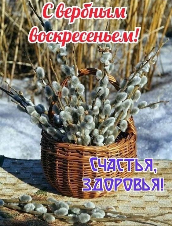 С Вербным Воскресеньем! Счастья, здоровья!