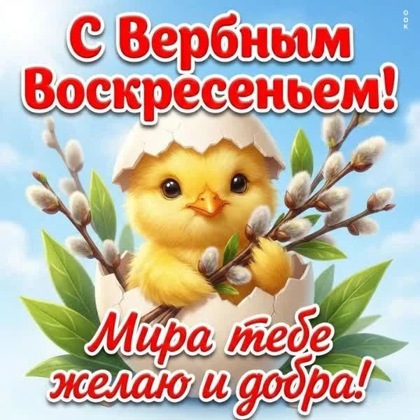 С Вербным Воскресеньем! Мира тебе желаю и добра!