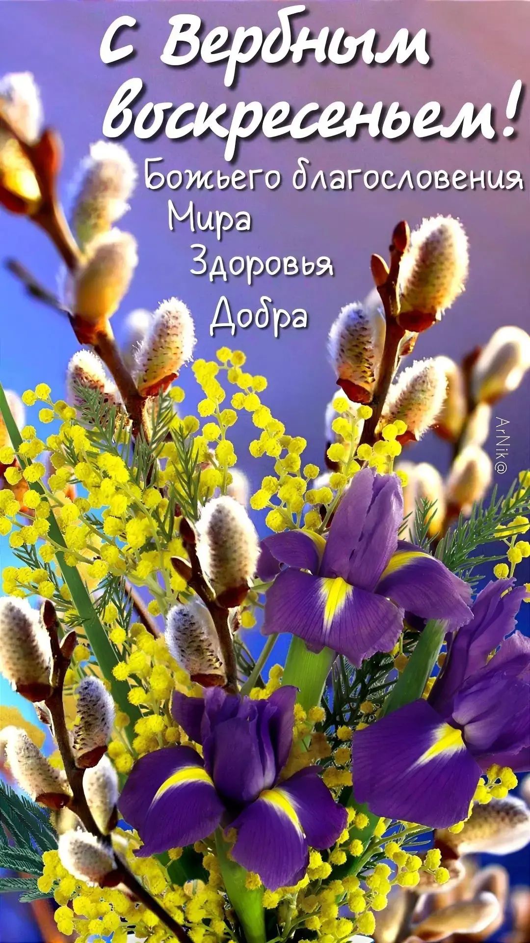 С Вербным воскресеньем! Божьего благословения Мира Здоровья Добра ArNiK@