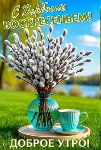С Вербным ВОСКРЕСЕНЬЕМ! ДОБРОЕ УТРО!