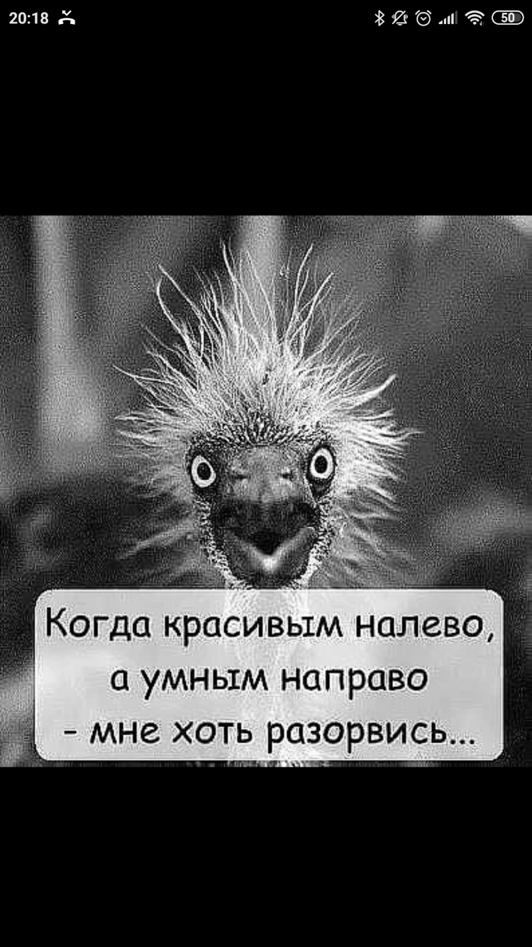 2018 и Когда красивым налево с умным направо мне хоть разорвись