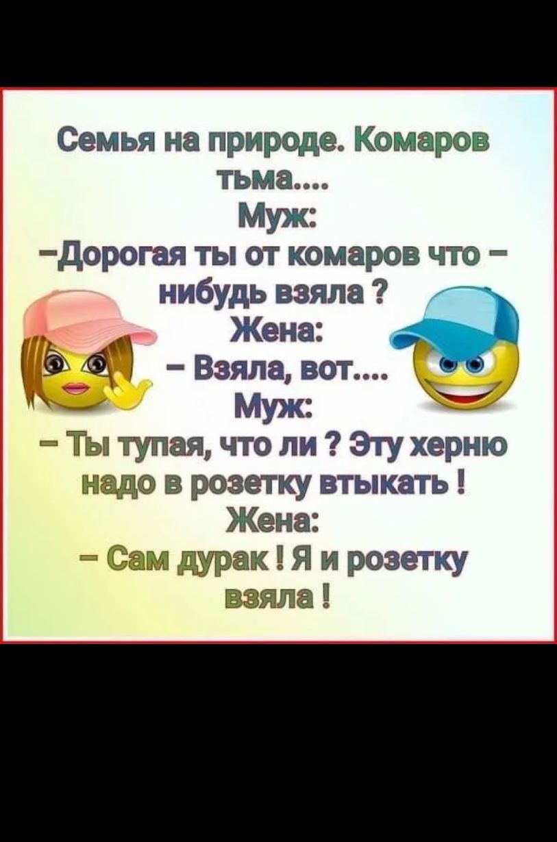 Семья на природе Комаров тьма Муж дорогая ты от комаров что нибудь взяла _ Жена Взяла вот Муж В Ты тупая что ли Эту херню Ндо в розетку втыкать Жена м Дурак Я и розетку взяла
