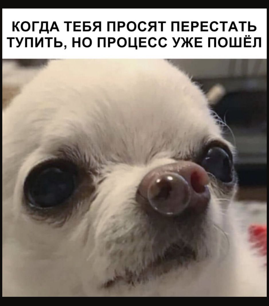 КОГДА ТЕБЯ ПРОСЯТ ПЕРЕСТАТЬ ТУПИТЬ НО ПРОЦЕСС УЖЕ ПОШЁП