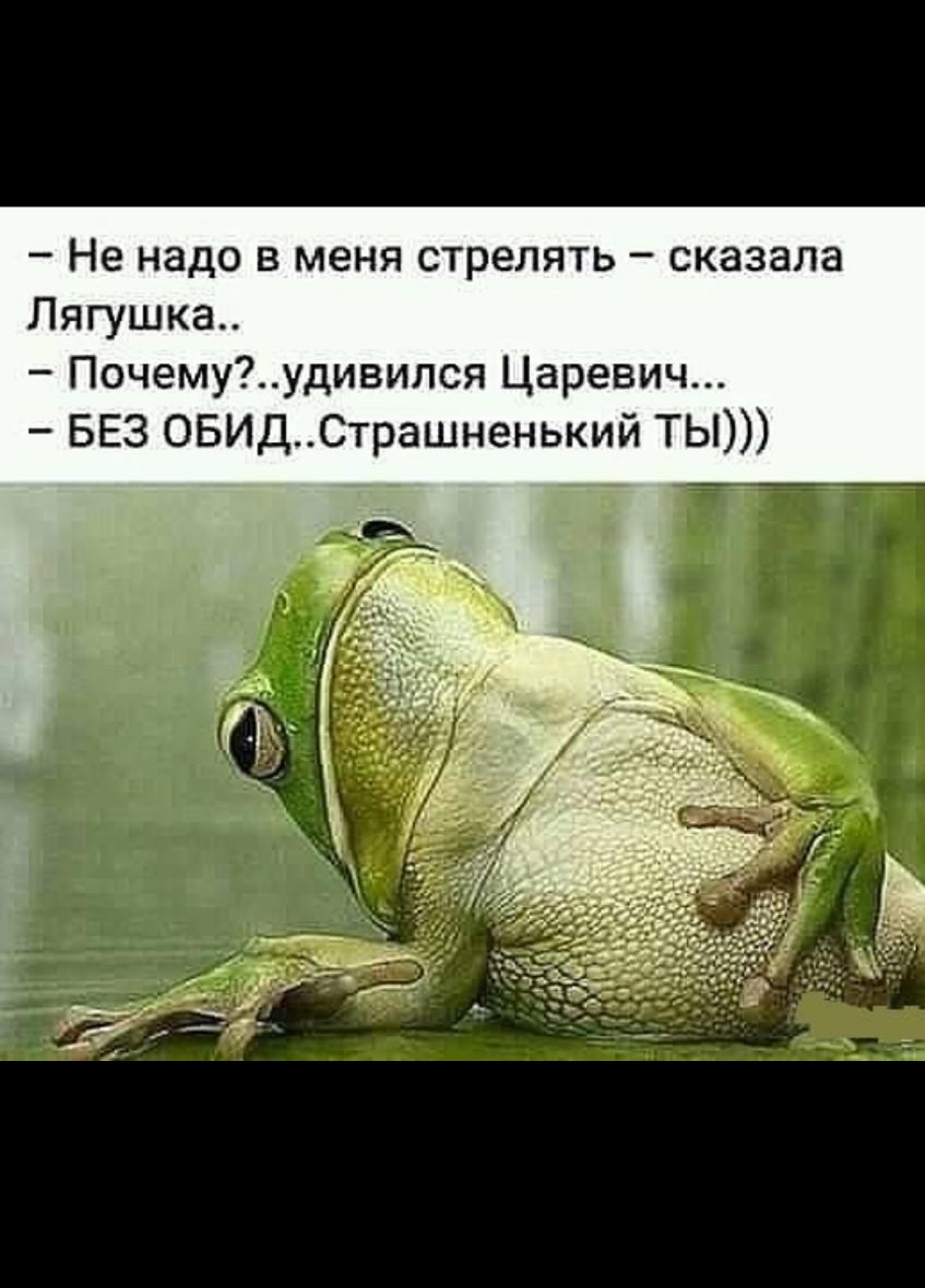 Не надо в меня стрелять сказала Лягушка Почемуудивился Царевич БЕЗ ОБИДСтрашненький ТЫ