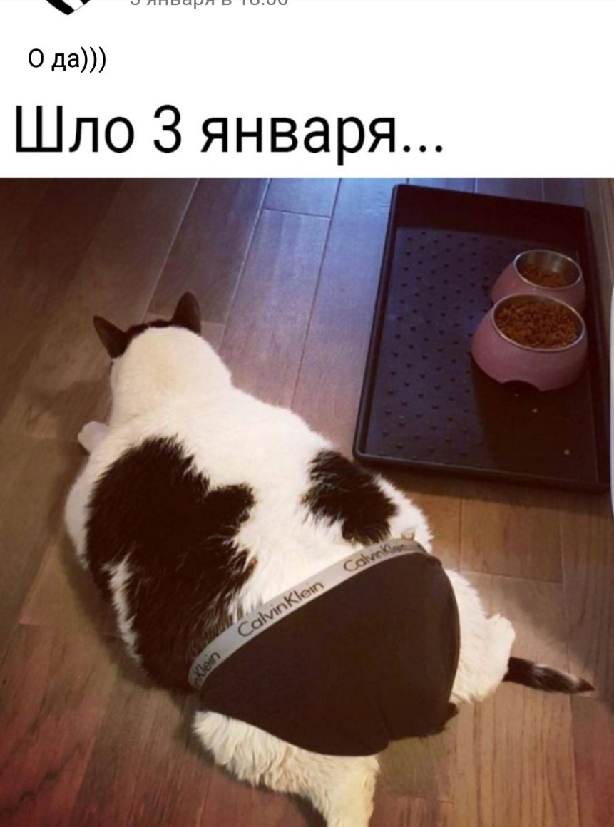 0 да Шло 3 января і _1_