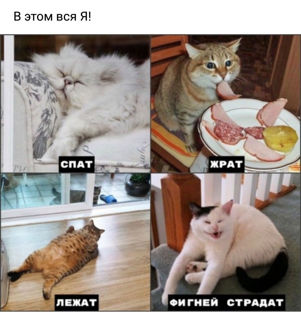 В этом вся Я