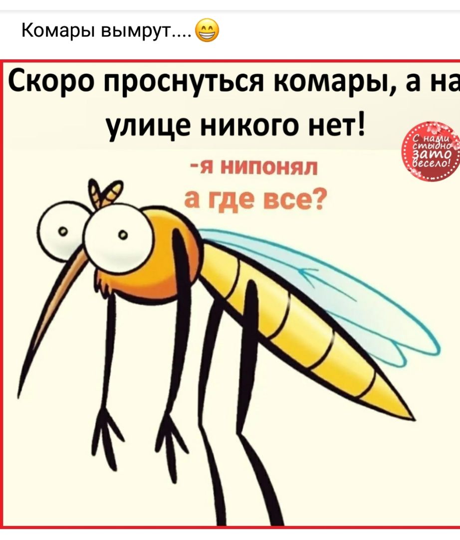Комары вымруте Скоро проснуться комары а на улице никого нет Я НИПОНЯЛ а где все