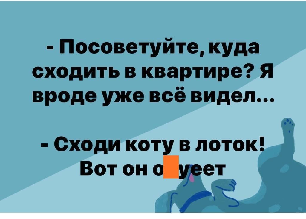 Посоветуйте куда сходить в квартире Я вроде уже всё видел Сходи коту в поток Вот он ет