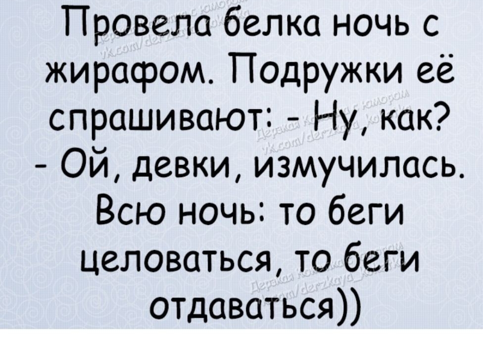 Провела белка ночь с жирафом Подружки её спрашивают Ну как Ой девки измучилась Всю ночь то беги целоваться то беги отдаваться