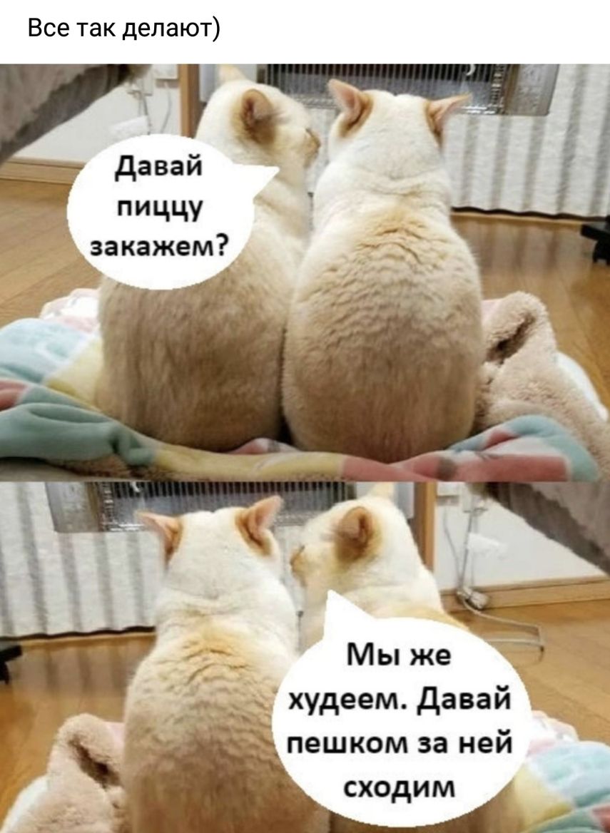 Все так делают Мы же худеем дава пешком за неи сходим