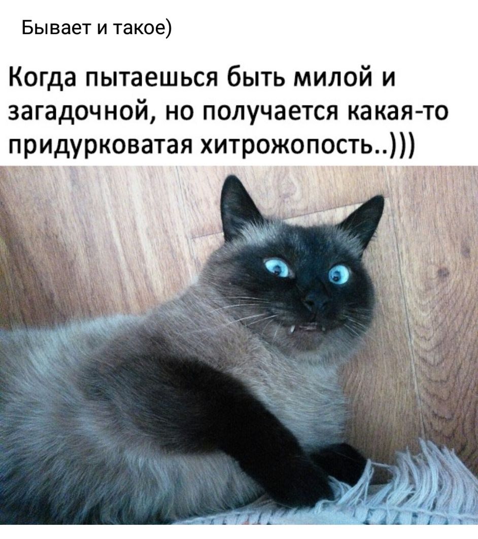 Бывает и такое Когда пытаешься быть милой и загадочной но получается какая то придурковатая хитрожопость