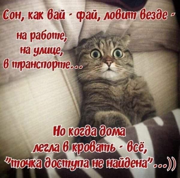 Ыы кг гт ваты доза езд работе на улице Ёб тра таврию
