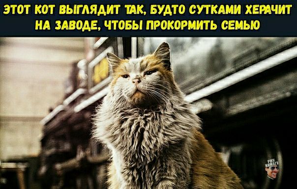 Ь г Гзььд