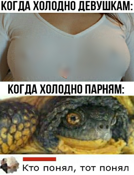 КОГДА ХОЛОДНП ЛЕВУЩКАМ КТО ПОНЯЛ ТОТ ПОНЯЛ