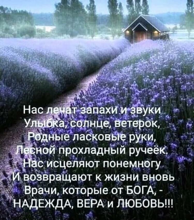 а АДЕЖДА ВЕРА и ЛЮБОВЬ