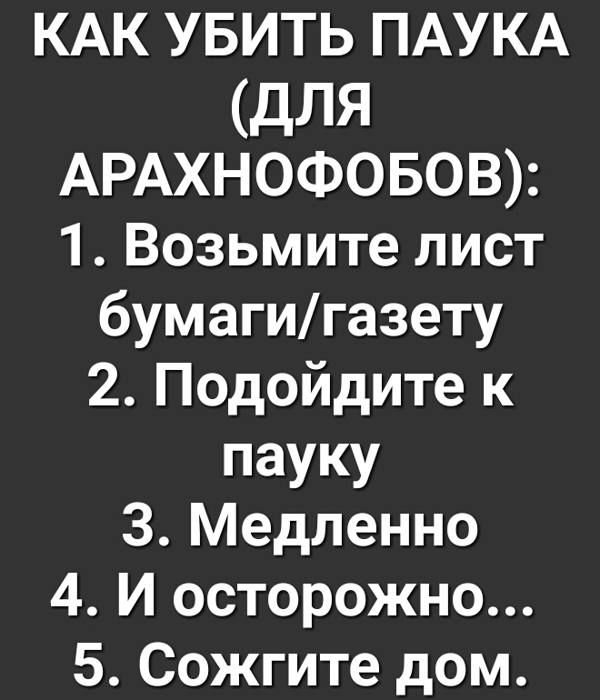 КАК УБИТЬ ПАУКА дЛЯ АРАХНОФОБОВ 1 Возьмите лист бумагигазету 2 Подойдите к пауку 3 Медленно 4 И осторожно 5 Сожгите дом