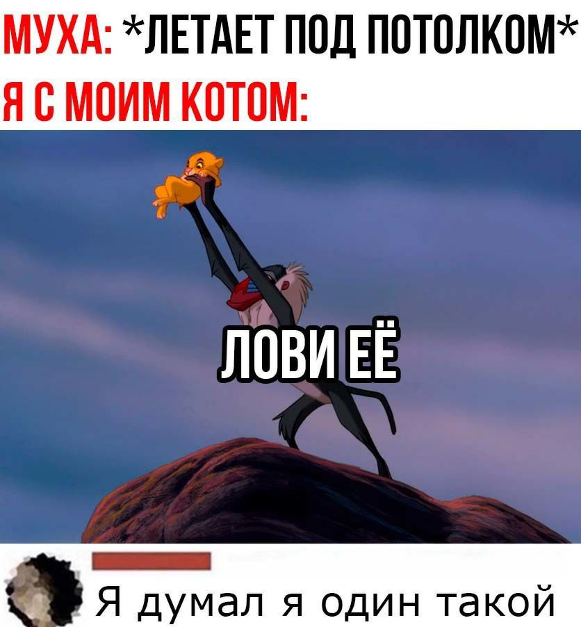 МУХА ЛЕТАЕТ ПОД ППТОЛК0М Я В МОИМ КПТОМ Я думал я один такой