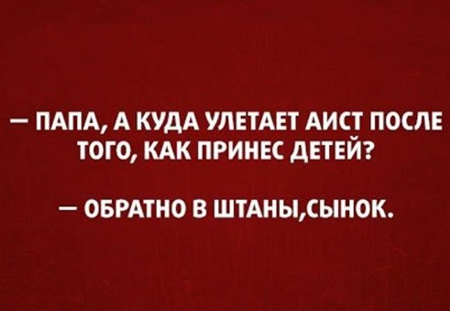 ПАПА А КУДА УЛЕТАЕТ АИС ПОСЛЕ ТОГО КАК ПРИНЕС дЕТЕИ ОБРАТНО В ШТАНЫСЫНОК