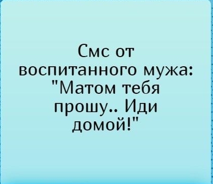 Смс от воспитанного мужа Матом тебя прошу Иди домой