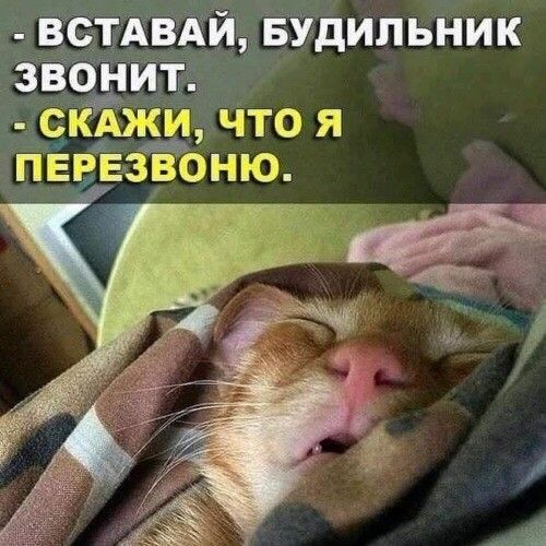 встдвдй Будильник звоуит сіджи что я пввЕ Зёбню