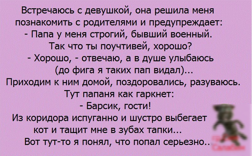 Встречать дева. Барсик гости. Барсик гости анекдот. Анекдот Барсик тапки. Барсик у нас гости.