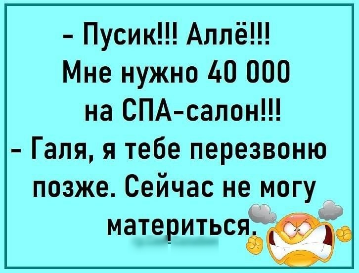 Пусик Аллё Мне нужно 40 000 на СПА салон Галя я тебе перезвоню позже Сейчас не могу материтьсяЁд