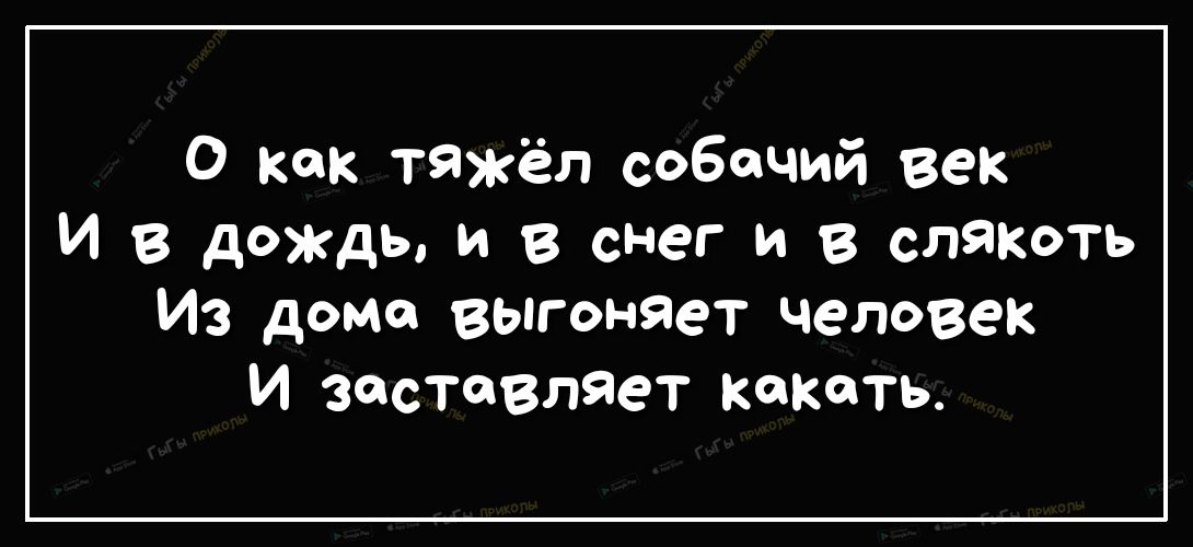 О как тяжёл собачий век И в дождь и в снег и в слякоть Из дома выгоняет человек И заставляет какать