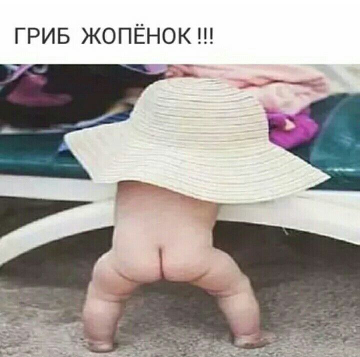 ГРИБ ЖОПЁНОК _