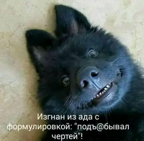 Изгнан из ада с формулировкой: 