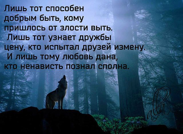 шь тот способен добрым быть кому ишлось от злости выть ишь тот узнает дружбы кто испытал друзей из с