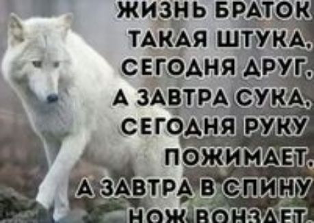 ЖИЗН Ь БРАТК