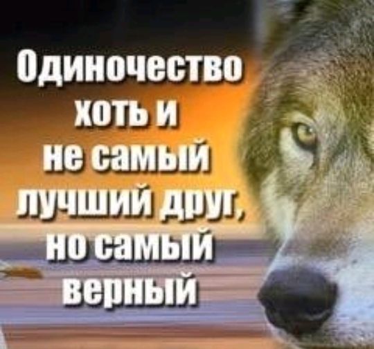 одиночество _ хоть и