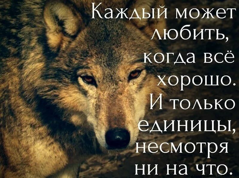 Кажщізт может Аюбить когда всё _орошо ТОАЬКО Аиницы несМотря ни на что
