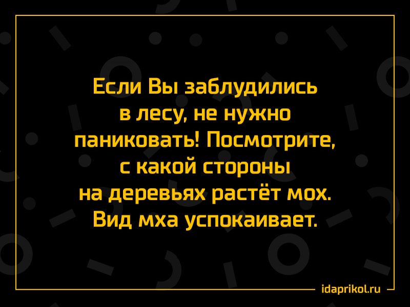 в Ба Вы взабдшёцились в лесу не нужно паникоэатьПосмТривте с каким стороны на дерев Ъях растёт мох ВИд Маха сповёаиваёт іцаргіпги