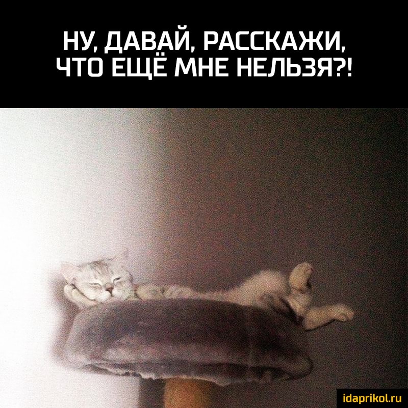 ну ДАВАЙ РАССКАЖИ что ЕЩЕ МНЕ НЕЛЬЗЯ