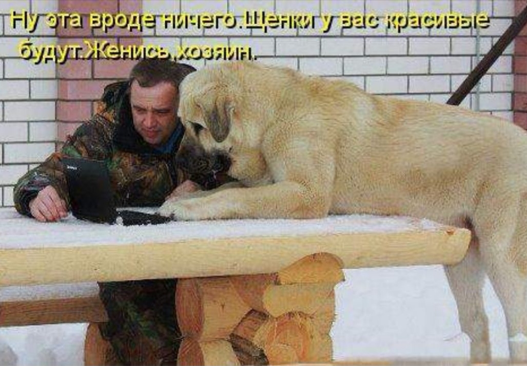 і ничегслЩенм