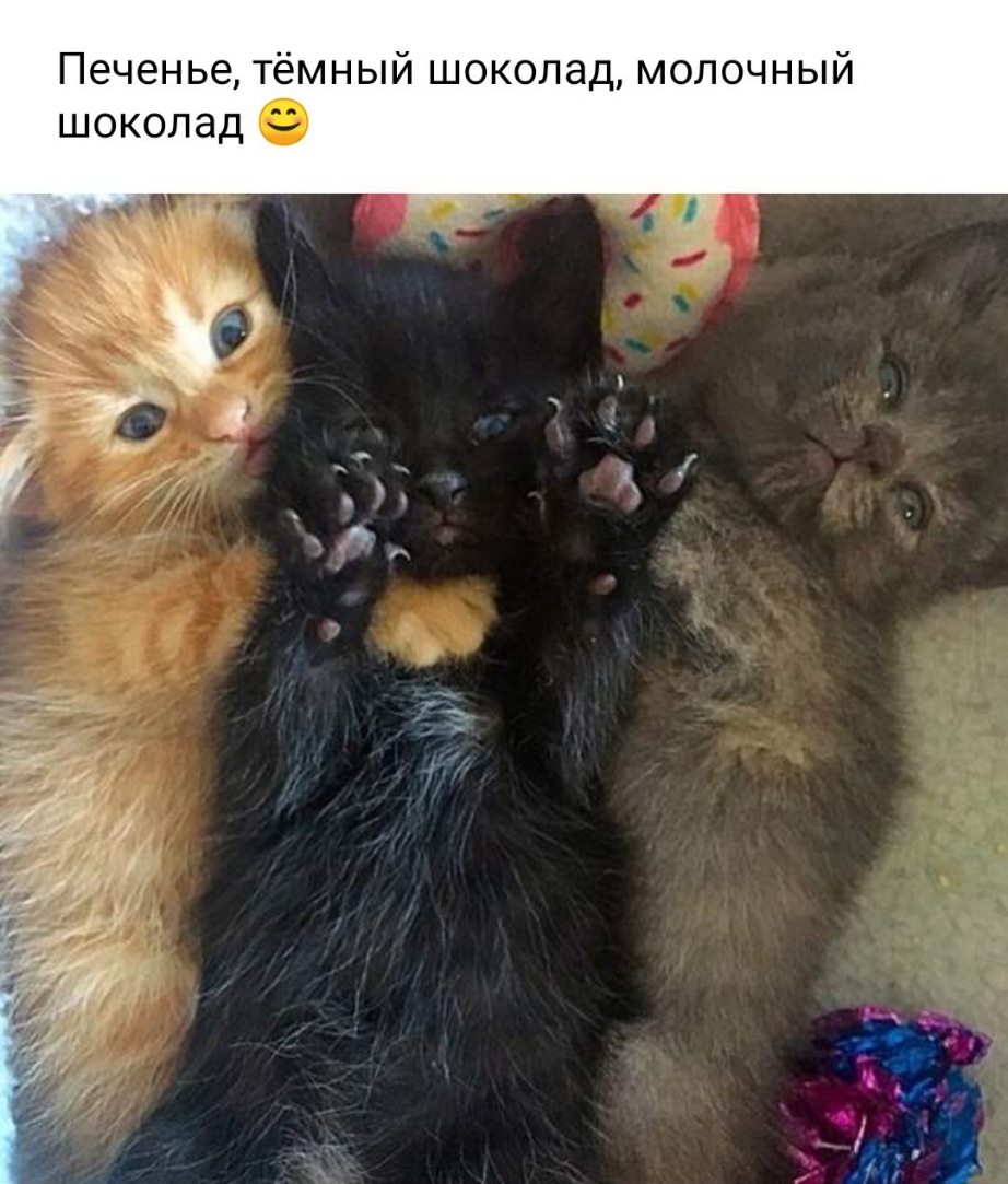 Печенье тёмный шоколад молочный шоколад