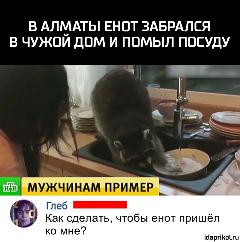 В АЛМАТЫ ЕНПТ ЗАБРАЛСЯ В ЧУЖПИ ДОМ И ППМЫЛ ПОСУДУ ПЖЙттгипщтптттт на Как сделать чтобы енот пришёл ко мне ігаргіпгц