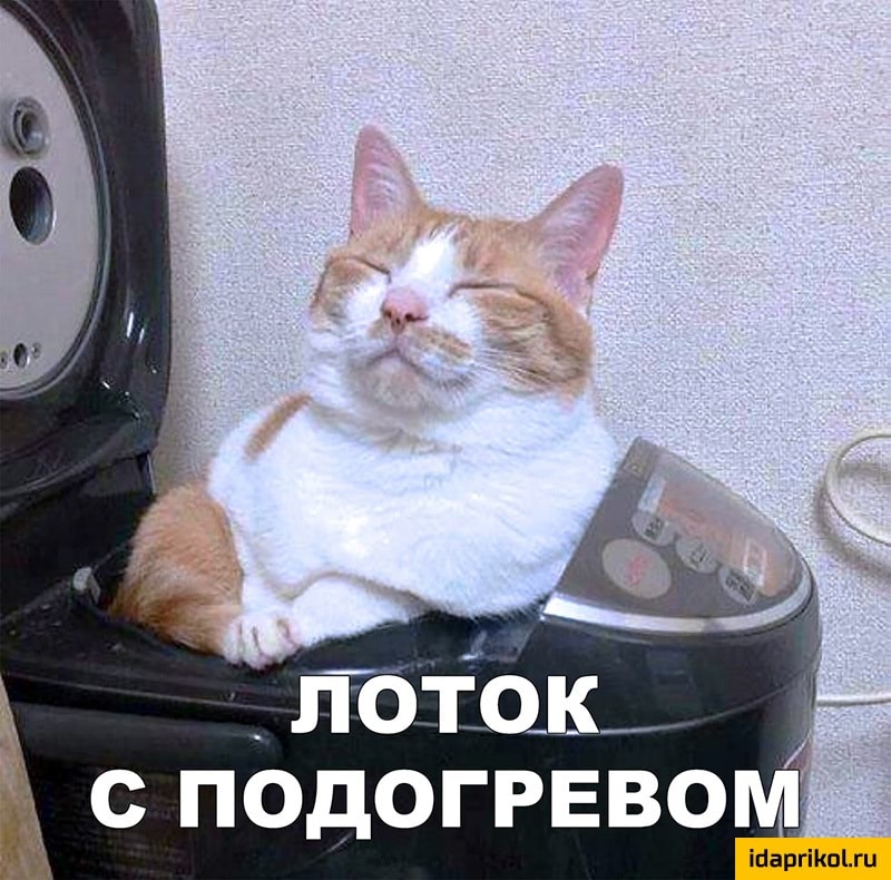 с подогревом