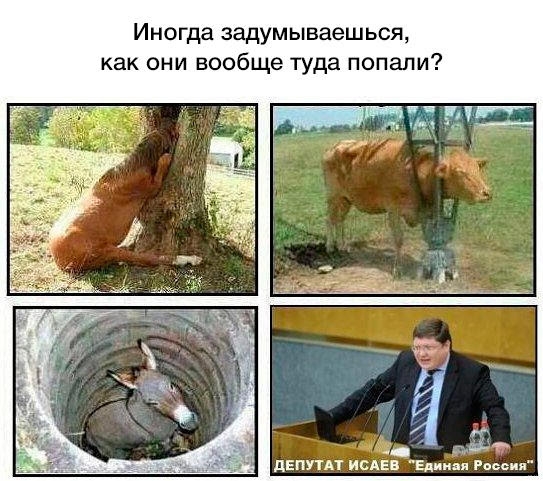Иногда задумываешься как они вообще туда попали М днс дЕПУТАТ ИСАЕВ Единая Раввин