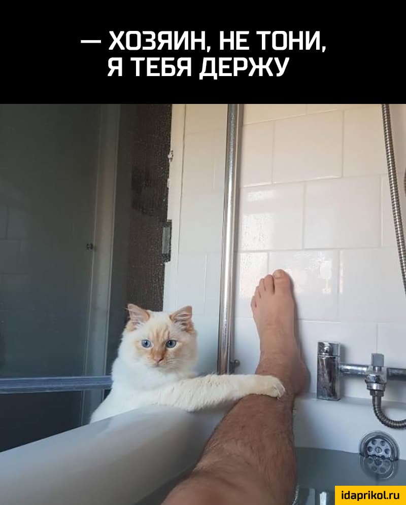 ХОЗЯИН НЕ ТОНИ Я ТЕБЯ ДЕРЖУ 9 ідаргіКоіти
