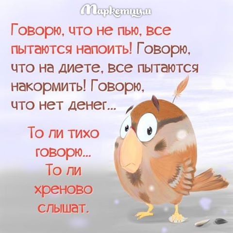 юлии г Говорю что не пью Все пытаются напоить Говорю что на диете Все пьггаютсч накормить Говорю что нет денег То пи тихо говорю То ли