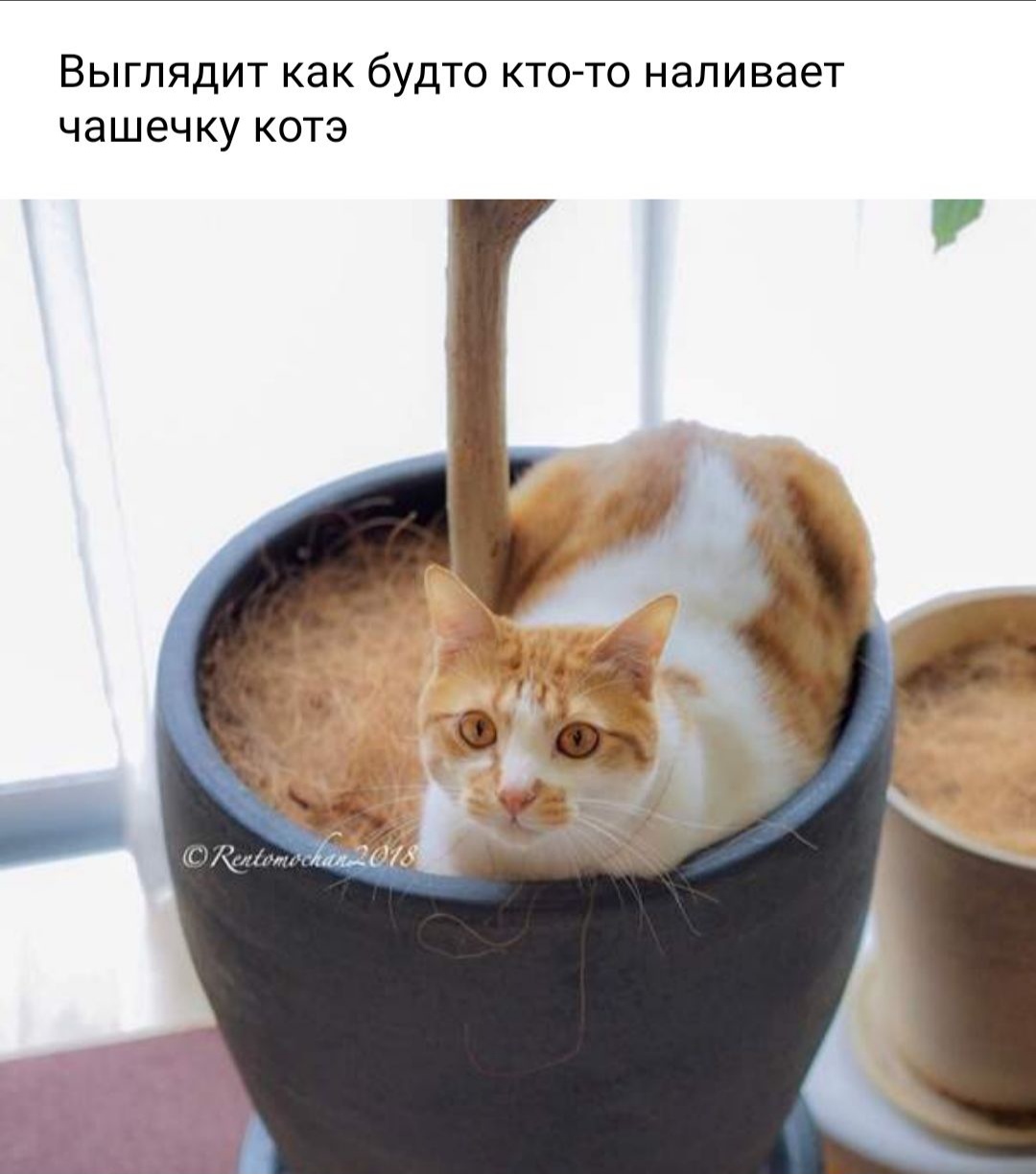 ВЫГЛЯДИТ как бУДТО КТО ТО НЭЛИВЭЭТ ЧЭШЭЧКУ КОТЭ